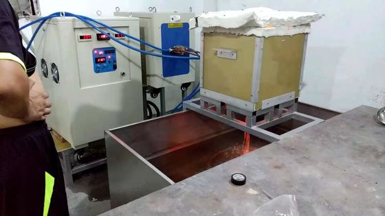 Energie - besparings Elektromagnetische Inductie die Furnance voor Smeltend Platina verwarmen